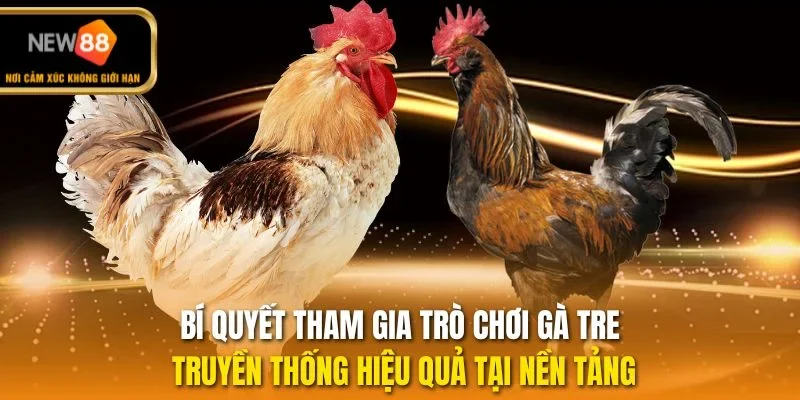 Bí quyết tham gia trò chơi gà tre truyền thống hiệu quả tại nền tảng