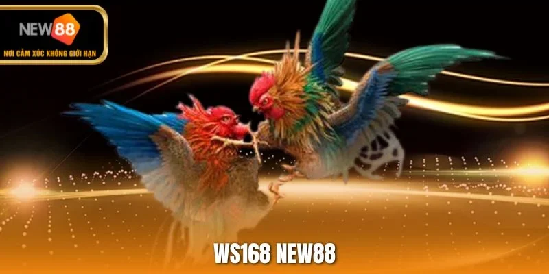 WS168 NEW88